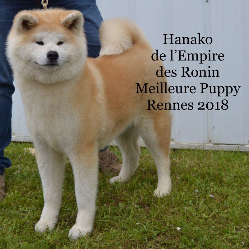 N'hanako de l empire des ronin